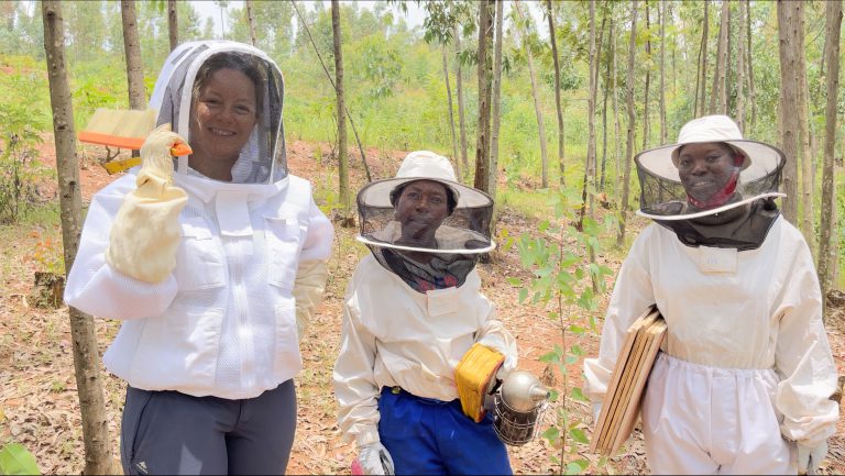 Les apicultrices sur le terrain / Beekeepers on the field.