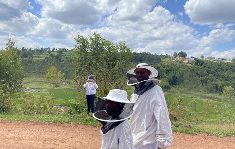 Une belle journée pour visiter nos adorables abeilles /A beautiful day to visit our adorable bees