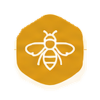 ROBEEC_BB_icon